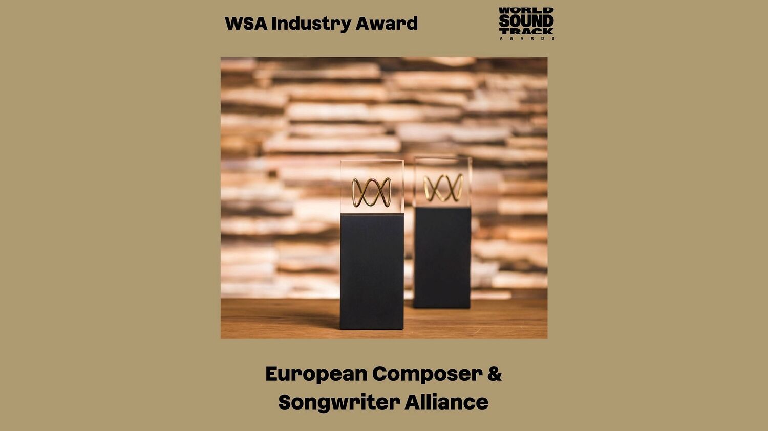 ECSA receives WSA Industry Award